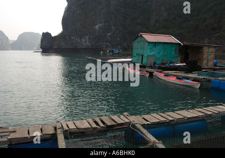 Schwimmende Fischfarmen in Halon Bucht Nord-Vietnam Stockfoto