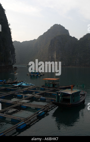 Schwimmende Fischfarmen in Halon Bucht Nord-Vietnam Stockfoto