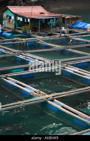 Schwimmende Fischfarmen in Halon Bucht Nord-Vietnam Stockfoto