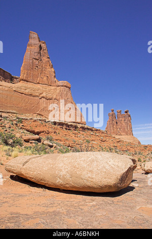 Wüste Vegetation in der Nähe von The drei Klatsch Felsformationen aus Sandstein in Park Avenue Arches National Park Utah USA Stockfoto