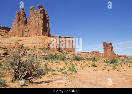 Wüste Vegetation in der Nähe von The drei Klatsch und Schafe Rock Felsformationen aus Sandstein in Park Avenue Arches National Park Utah USA Stockfoto