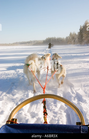 Hundeschlitten-Team zieht einen Schlitten durch Arktis Finnland Stockfoto