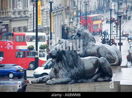 zwei große Löwen-Skulpturen in Trafalgar Square in london Stockfoto