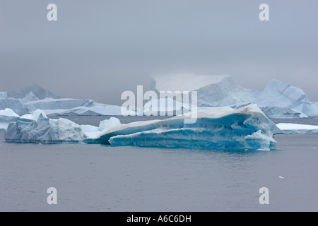 Blaue Eisberge Laurie Island South Orkney Inseln Antarktis Januar 2007 Stockfoto