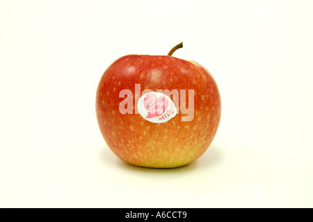 Einzelne Pink Lady Apfel mit Label Stockfoto