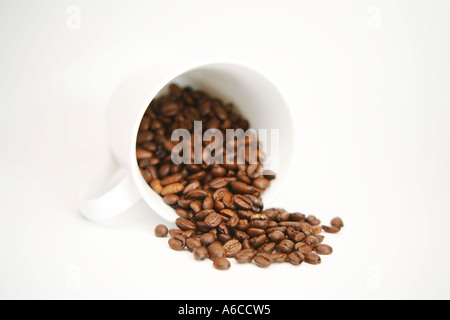Kaffee Bohnen verschütten aus einem Becher Stockfoto