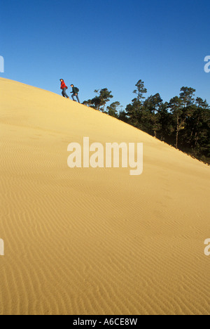 Zwei junge Männer wandern bis Sand dune Umpqua Dünen Oregon Dunes National Recreation Area Oregon Küste Stockfoto