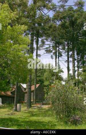 Optionen-Lage: Caxias do Sul - Rio Grande do Sul Brasil Stockfoto