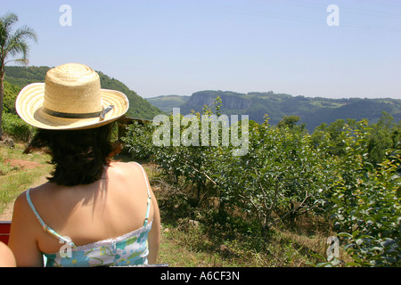 Optionen-Lage: Caxias do Sul - Rio Grande do Sul Brasil Stockfoto