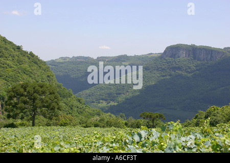 Optionen-Lage: Caxias do Sul - Rio Grande do Sul Brasil Stockfoto