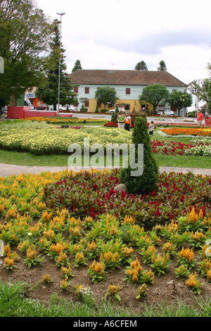 Optionen-Standort: Nova Petrópolis - Rio Grande do Sul Brasil Stockfoto