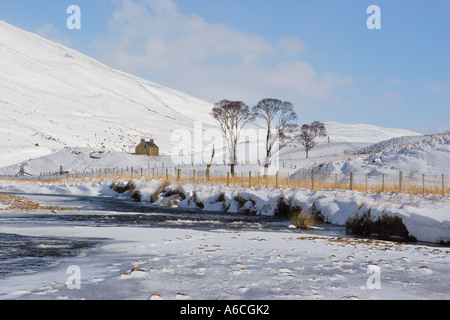 Schottischen Winter Schnee-Szene mit Silver Birch Bäume schottischen Cottage Clunie brennen A93 Spittal of Glenshee, Braemar, Schottland, Vereinigtes Königreich Stockfoto