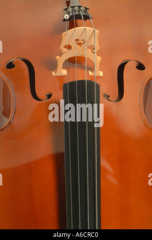 Antoni 3 4 Violoncello Detail Hals und f Bohrung Stockfoto