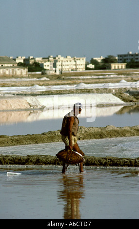 Karachi Pakistan Sind Mann panning für Salz Stockfoto