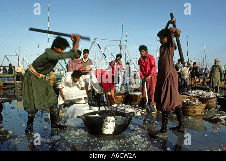 Pakistan Sind Karachi Fisch Hafen Eis gebrochen manuell Stockfoto