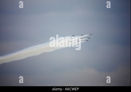 Snowbirds bei Flugschau Stockfoto