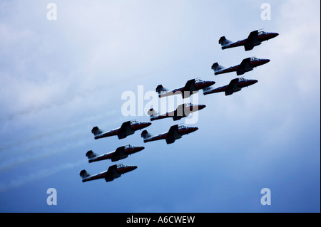 Snowbirds bei Flugschau Stockfoto