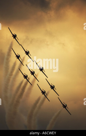 Snowbirds bei Flugschau Stockfoto