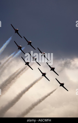 Snowbirds bei Flugschau Stockfoto