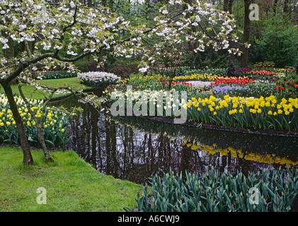 Die KUKENHOFF Gärten wachsen jede Art von TULIP erdenklichen anderen Blumenzwiebeln pflanzt Bäume als auch die Niederlande Stockfoto
