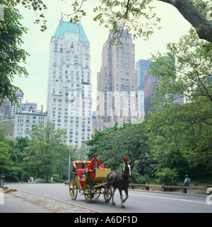 Pferd und Wagen im Central Park New York City Stockfoto