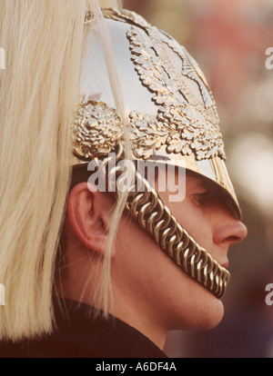 Closeup Wache Buckingham Palace London England Stockfoto