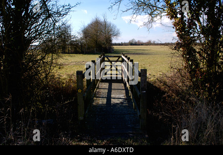 Fußgängerbrücke über Reen an Newport Feuchtgebiete National Nature Reserve South East Wales UK Stockfoto