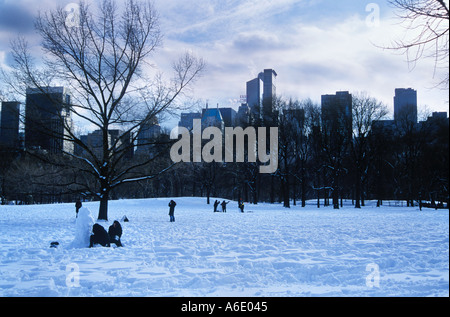 Schaf-Wiese Central Park New York nach Schneesturm 2003 Stockfoto