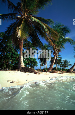 Strand und Palmen Bäume auf dem Atoll der Marshall-Inseln liegt die durch den Anstieg des Meeresspiegels bedroht ist Stockfoto
