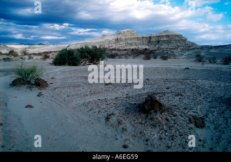 Ischigualasto Park im Westen Argentiniens Stockfoto