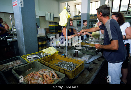 Anbieter am Fischmarkt Zadar, Zadar, Kroatien Stockfoto