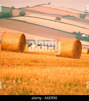 Rollen von Heu geerntet in ein Feld Devon England Stockfoto