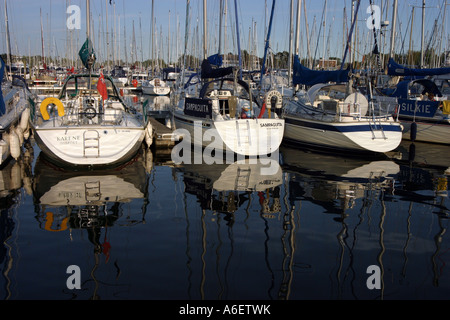 Drei Yachten ankern in Chichester Marina, Sussex Stockfoto