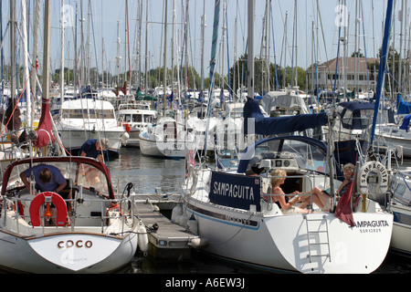 Morgen in Chichester Marina, Sussex, England Stockfoto