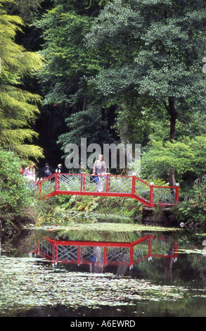 Dame auf japanische Brücke in Portmeirion Gwynedd Nord Wales Nummer 2322 Stockfoto