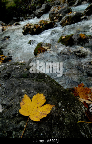 Triglav Nationalpark, Slowenien Stockfoto