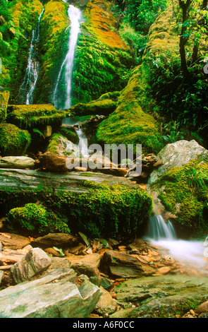 NEW ZEALAND MARLBOROUGH QUEEN CHARLOTTE TRACK Wasserfall befindet sich auf einer Schmalseite Trail-running-aus in der Nähe von Furneaux Lodge Stockfoto