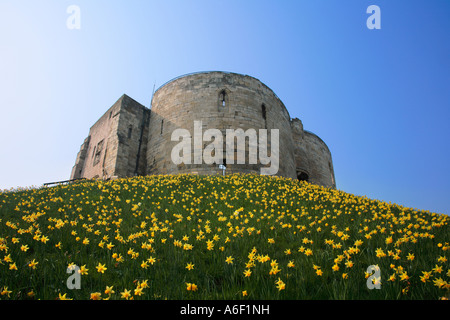 Clifford s Tower York North Yorkshire England Stockfoto