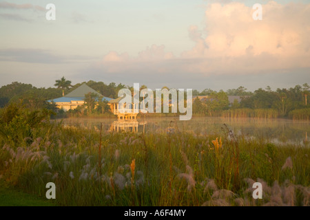 Ernest F. Coe Besucherzentrum, Morgenlicht, Everglades National Park, Florida Stockfoto
