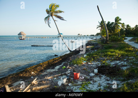 BELIZE Ambergris Caye Müll und Abfall am Strand entlang der Küste weg gespült folgen Küste Palmen und docks Stockfoto