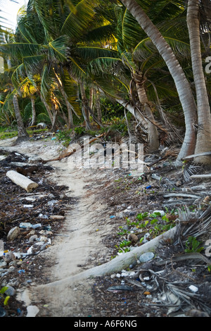 BELIZE Ambergris Caye Müll und Abfall am Strand entlang der Küste Weg Palm Bäume Algen übersät am Strand angeschwemmt Stockfoto