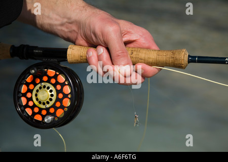 BELIZE Ambergris Caye erwachsenen männlichen Fliegenfischen in Wohnungen entlang der Küstenlinie auf Bonefish Nahaufnahme von hand Stockfoto