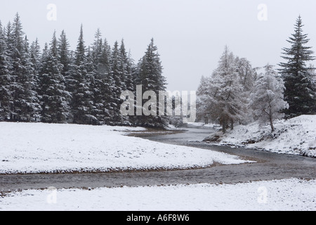 Schottische Winterszene schneit, in der Nähe des Flusses Dee, Braemar nach Schneefall Schottland, uk Stockfoto