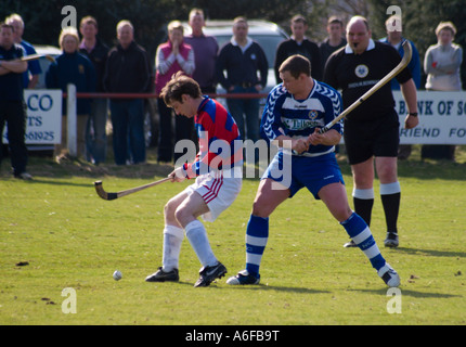 Shinty Übereinstimmung zwischen Kingussie und Newtonmore Stockfoto