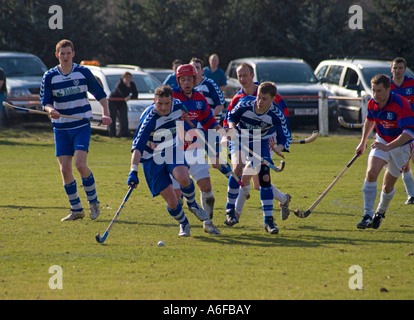 Shinty Übereinstimmung zwischen Kingussie und Newtonmore Stockfoto