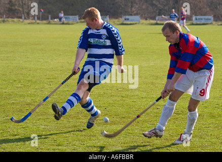 Shinty Übereinstimmung zwischen Kingussie und Newtonmore Stockfoto