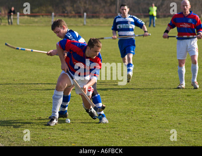 Shinty Übereinstimmung zwischen Kingussie und Newtonmore Stockfoto