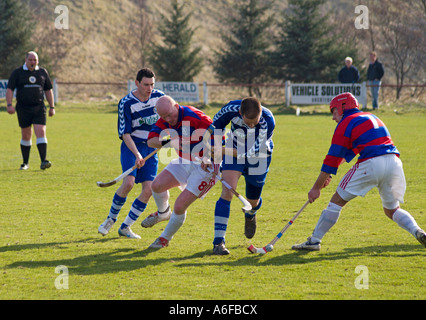 Shinty Übereinstimmung zwischen Kingussie und Newtonmore Stockfoto