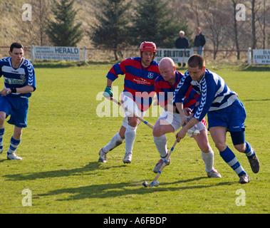 Shinty Übereinstimmung zwischen Kingussie und Newtonmore Stockfoto