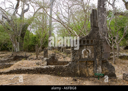 Grab der kannelierte Säule in Gedi Ruinen im Arabuko Sokoke Wald in der Nähe von Malindi Kenia in Ostafrika Stockfoto